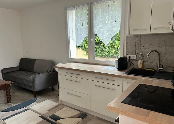 Duplex Oliveraie Piscine Au Sel Marin Et Parking